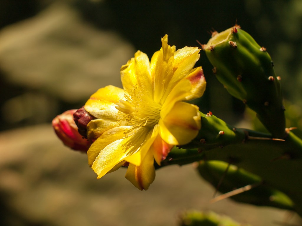 Vivitar 28mm f2.8 — ตัวอย่าง 3