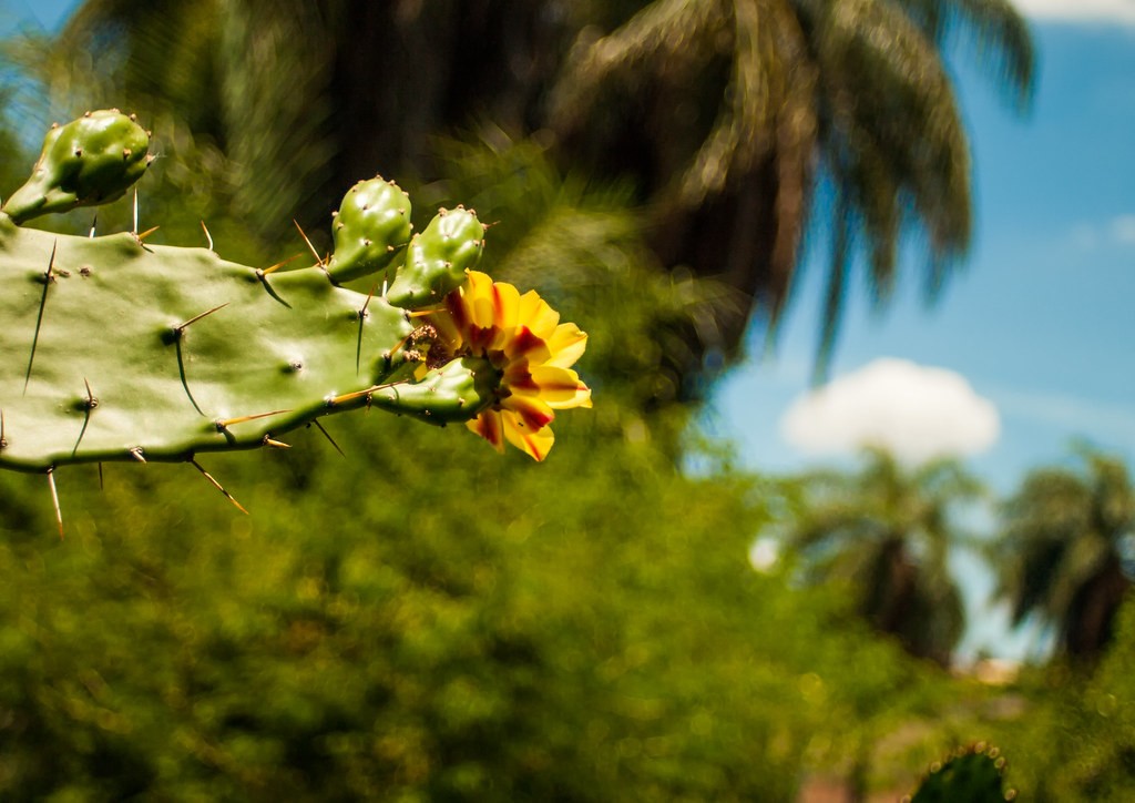 Vivitar 28mm f2.8 — ตัวอย่าง 2