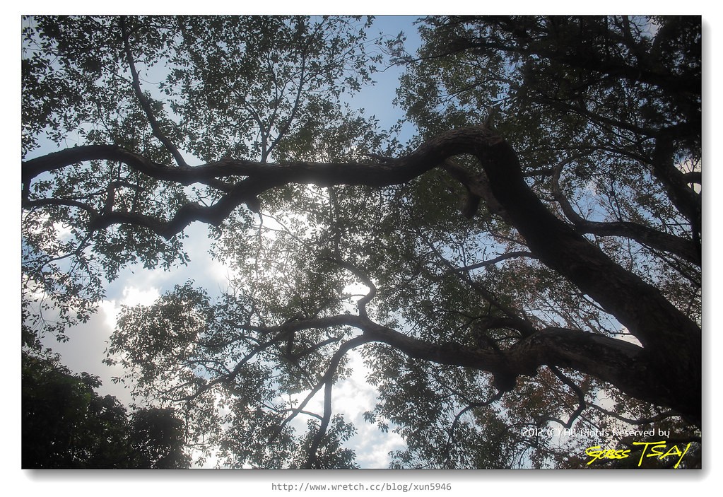 Vivitar 24mm f2.8 — ตัวอย่าง 6
