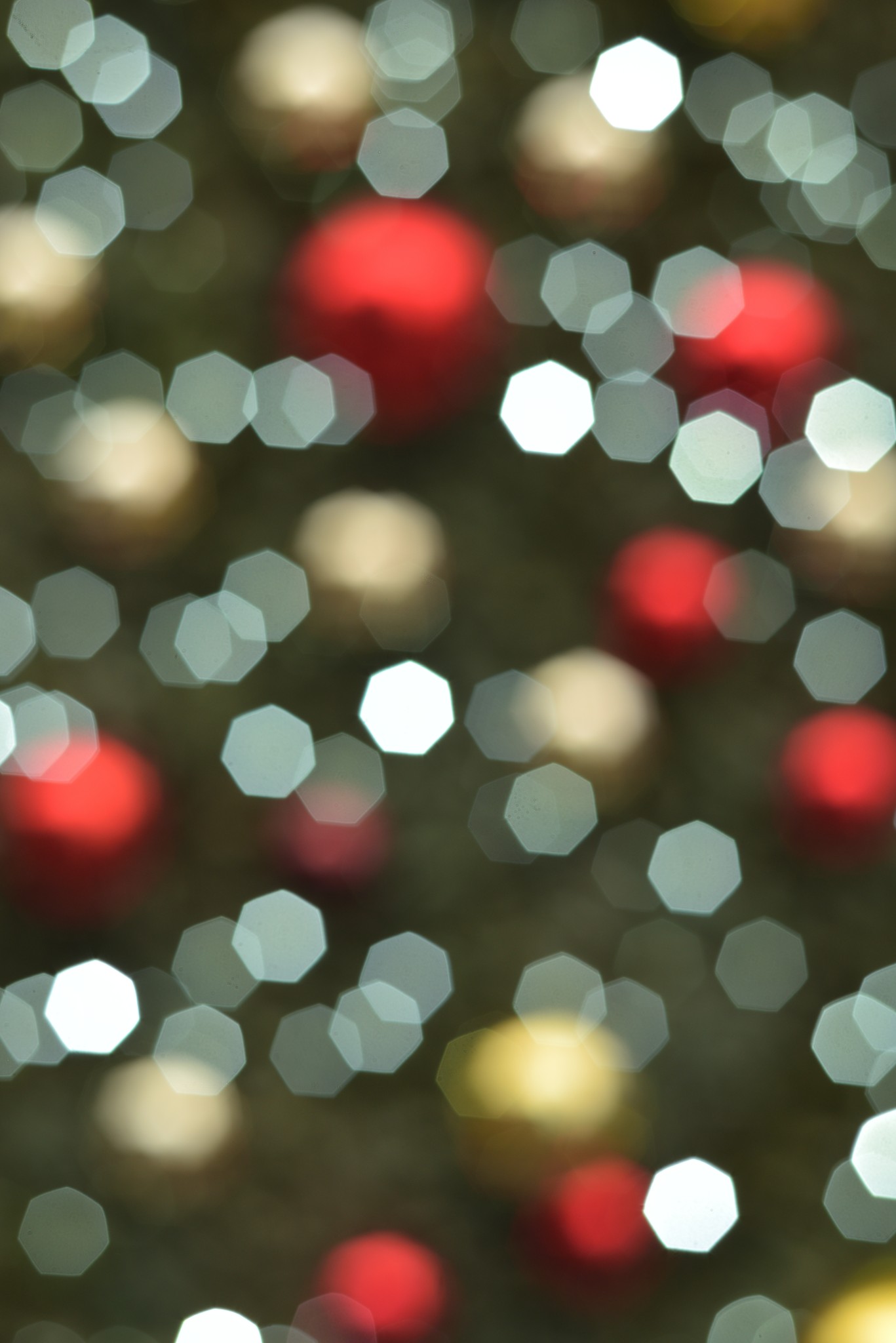 Nikon 50mm f1.8 — sample 5