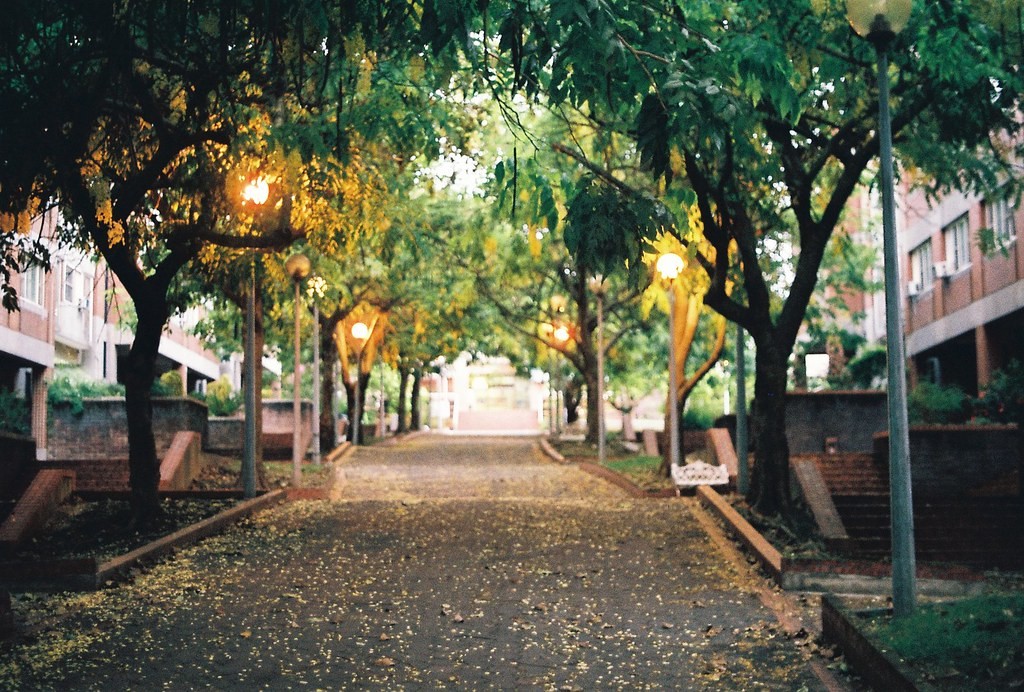 Konica 50mm f1.4 — ตัวอย่าง 4