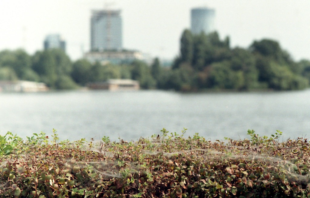 Contax / Yashica ML — ตัวอย่าง 3