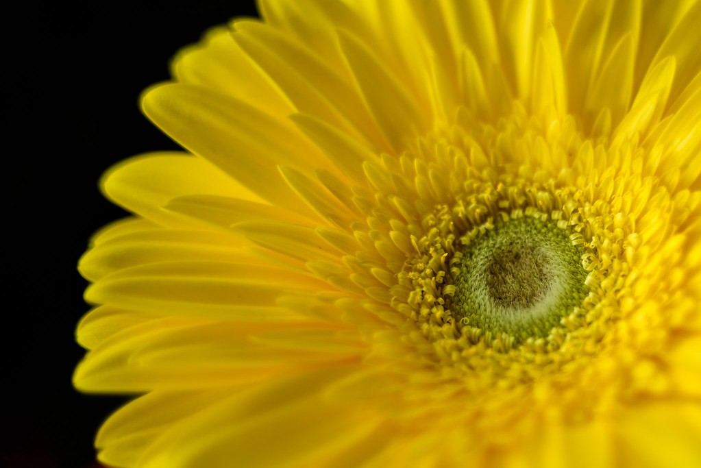 นิคอน Nikon 35mm f1.4 — ตัวอย่าง 4