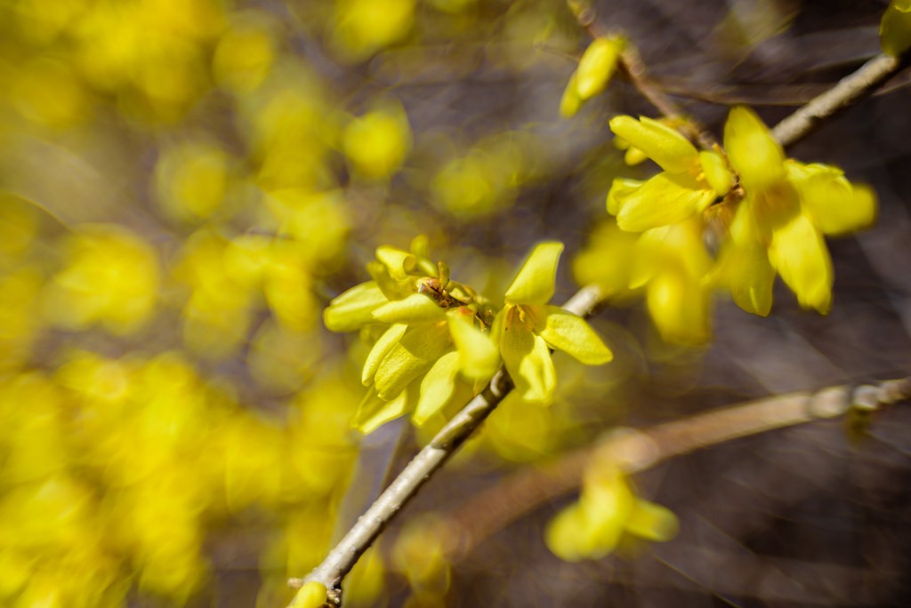 นิคอน Nikon 35mm f1.4 — ตัวอย่าง 5