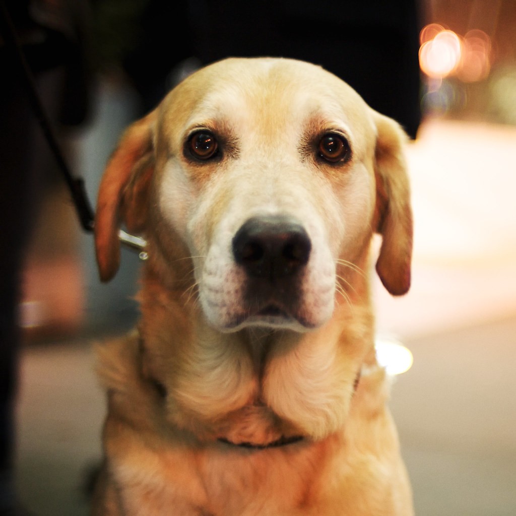 นิคอน Nikon 35mm f1.4 — ตัวอย่าง 6