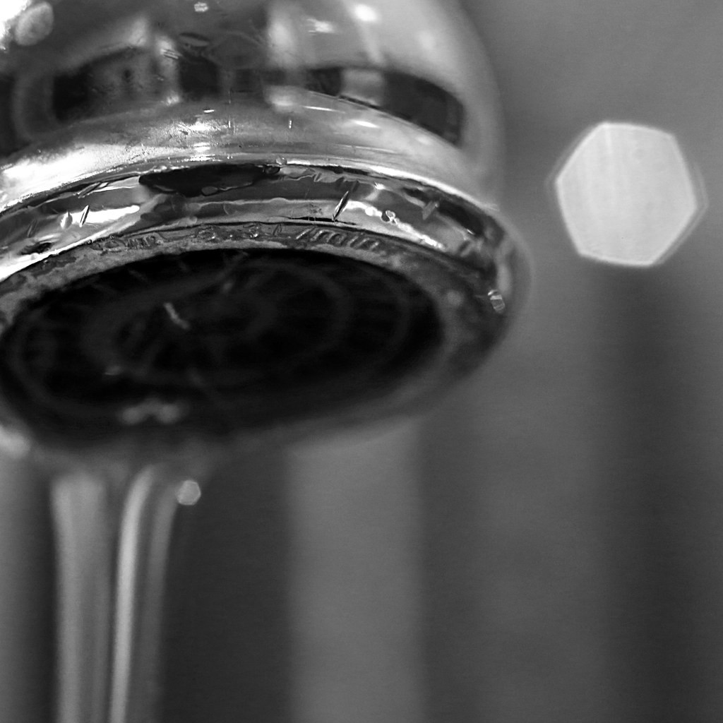 Vivitar Macro 55mm f2.8 — sample 5