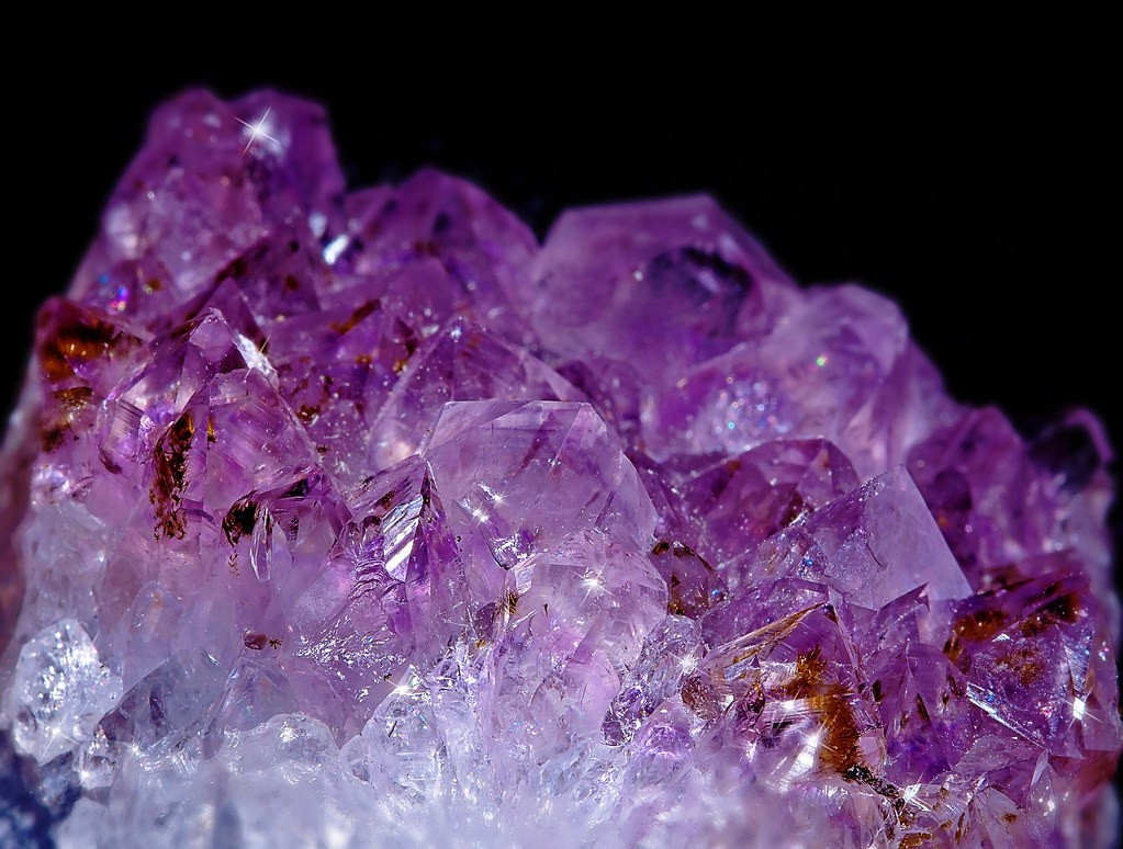 Canon Macro — sample 1