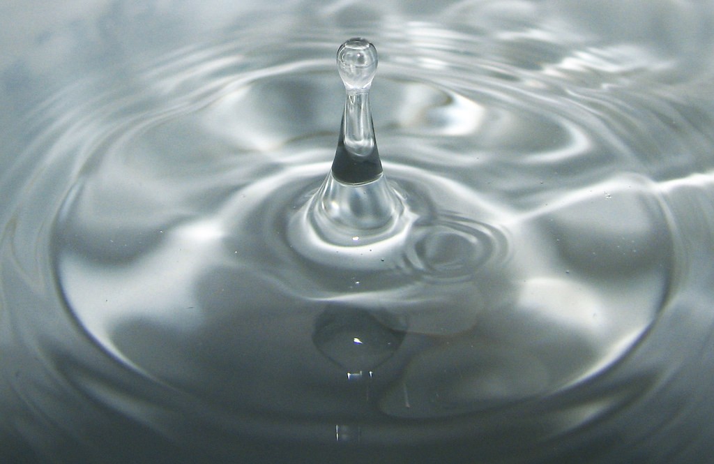 Canon Macro — sample 5