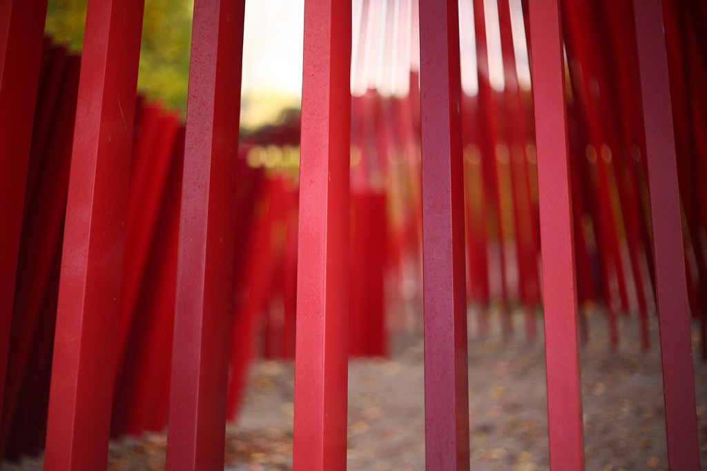 Chinon 55mm f1.7 — ตัวอย่าง 2