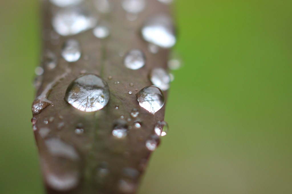 Tokina 35mm f2.8 — ตัวอย่าง 6