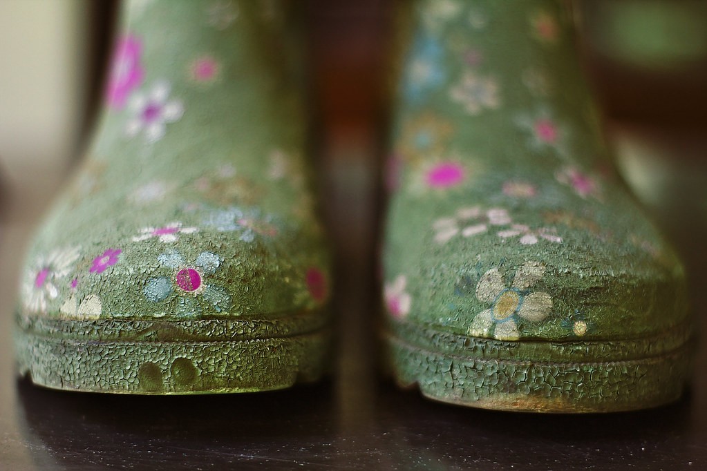 Sears 50mm f1.7 — ตัวอย่าง 4