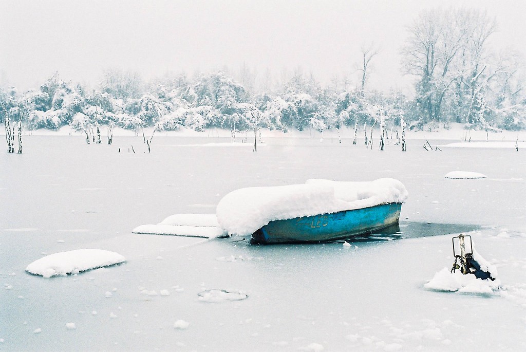 Minolta 50mm f1.7 — sample 2
