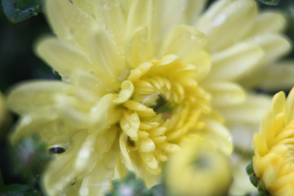 Tamron 28mm f2.8 — ตัวอย่าง 1