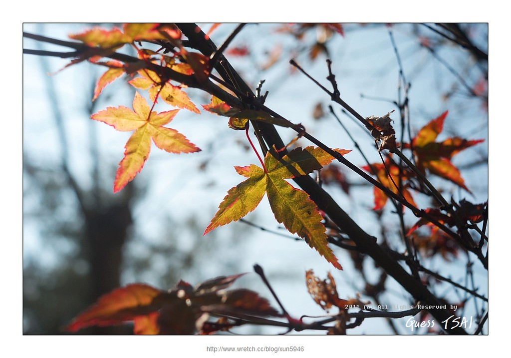 Pentacon 30mm f3.5 — ตัวอย่าง 4