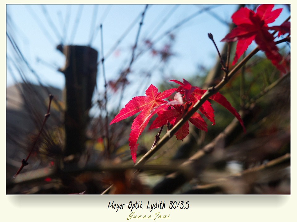 Pentacon 30mm f3.5 — ตัวอย่าง 2