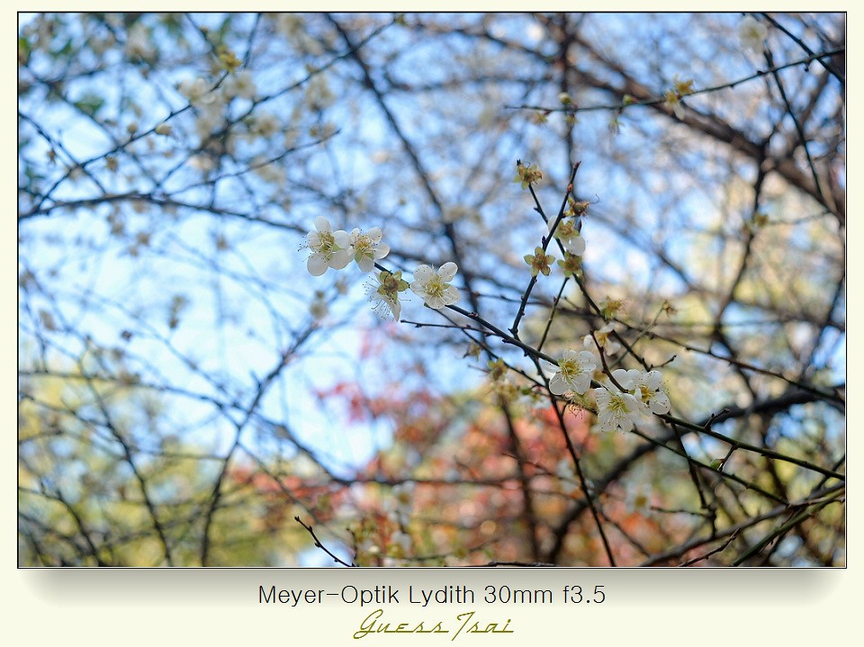 Pentacon 30mm f3.5 — ตัวอย่าง 3