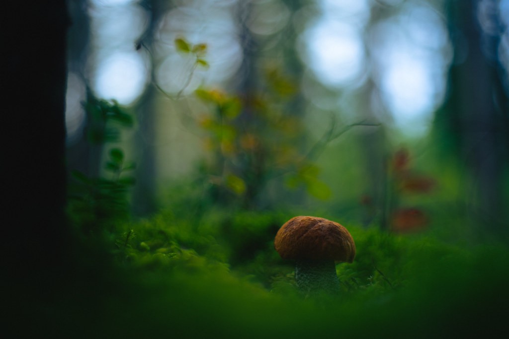 Konica HEXANON 52mm f1.8 — ตัวอย่าง 4
